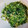 aaimam's cooksnap of when they made ほうれん草の海苔酢和え.