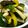 モカピ's cooksnap of when they made 母直伝☆すし酢で野菜の酢漬け.