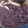 ヒトミマッスル's cooksnap of when they made 母の味♪おはぎのつぶあんの作り方.