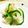 syrinx's cooksnap of when they made 大根とピーマンの和えもの✾.