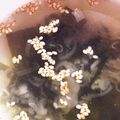 しいなん♪'s cooksnap of when they made 超簡単！中華風わかめスープ.
