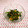 pitachan1's cooksnap of when they made ほうれん草とツナのおひたし♪.