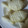 えっちゃん＆きゅう's cooksnap of when they made HMで簡単♡ふわもちたい焼き風蒸しパン♪.