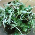 ☆あっちゃま☆'s cooksnap of when they made 超簡単！貝割れサラダ.