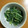 ヤマミポ's cooksnap of when they made 小松菜のゴマ味噌マヨ和え.