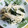 ぴっちぃ♪'s cooksnap of when they made 旦那様がお気に入りの えのきわかめ.