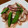 ジュスカ's cooksnap of when they made スナップエンドウとイカのエスニック炒め.