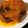 クック92HDF9☆'s cooksnap of when they made 簡単時短！めんつゆでカボチャの煮物.