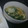 2児ママみきてぃ's cooksnap of when they made 今が旬♪春菊とふわふわ卵のお吸い物☆.