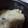 mikaosaki's cooksnap of when they made とっても簡単 普通のお米で栗ご飯.