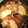 クックのんこらさ's cooksnap of when they made 天然だしで本格派　丸ハギの煮つけ.