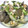 ふっくりん子's cooksnap of when they made 簡単☆あさりと野菜の酒蒸し.
