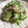 kasumisou⁂'s cooksnap of when they made 簡単胡瓜とツナマヨサラダ.