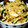 クックWR8YNR☆'s cooksnap of when they made すぐ出来て簡単！わかめとキノコの炒めもの.