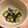 boshie64's cooksnap of when they made 超簡単なすのからし漬け.