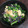 emiou's cooksnap of when they made 小松菜と水菜のみぞれ和え.