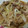 オレンジアプリコット's cooksnap of when they made 簡単！定番の豚の生姜焼き.