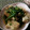 ☆ゆっきーちゃ☆'s cooksnap of when they made 鶏むね肉と絹さやのたっぷりネギの揚げ浸し.