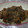 ∞みーちゅん∞'s cooksnap of when they made シャキ！うまっ！れんこんと豚肉の甘辛炒め.
