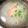 mcc5646's cooksnap of when they made さらっと大根スープ.