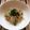 ミントラビ's cooksnap of when they made 白滝のこぶ茶炒め.