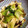 まゅみん。's cooksnap of when they made 青梗菜のオイスターソース炒め.