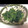 macbee's cooksnap of when they made お弁当に～簡単ほうれん草のごま和え.