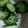 ma___111's cooksnap of when they made きゅうり黒胡麻会え.
