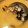 べンツ's cooksnap of when they made しじみのおみそしる.