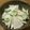 ♡ともりん's cooksnap of when they made 超簡単！かぶと大根の梅こんぶ茶漬け.