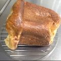 クックパッZO's cooksnap of when they made 大豆粉・小麦ふすまパン.