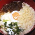 ayaakari's cooksnap of when they made とろろ昆布と天かす月見うどん.