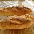 junnyks's cooksnap of when they made イーストで簡単ミニフランスパン（研究中）.