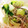 いせご's cooksnap of when they made ５分で完成！青梗菜とモヤシの中華和え.