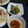 2児ママみきてぃ's cooksnap of when they made 簡単♪美味しい小松菜のめんつゆゴマ和え♪.