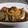 クック0YJRDJ☆'s cooksnap of when they made 簡単♪圧力鍋で秋刀魚煮.