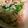 ユーロン's cooksnap of when they made コクウマ〜！ポテトサラダ！.