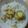 tomomi♪'s cooksnap of when they made 《簡単》栗ごろごろご飯.
