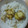tomomi♪'s cooksnap of when they made 《簡単》栗ごろごろご飯.