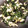 とろーるる's cooksnap of when they made 簡単☆玉子とほうれん草炒め.