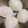 ピロＱ's cooksnap of when they made 殻剥きに失敗しない！ゆで卵の茹で方.