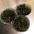miku✻'s cooksnap of when they made ピーマンのきんぴら.