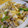 はっちぱっち's cooksnap of when they made ご飯がすすむ！豚肉と新タマネギの炒め物.
