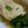 クックUN040Z☆'s cooksnap of when they made マンボウの煮付け.