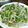 ないすばでぃ's cooksnap of when they made ピーマンと豚肉の青椒肉絲♪.