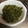 ちゃーちゃんkk's cooksnap of when they made ごはんの友♪かぶの葉とじゃこの炒め物♪.
