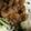 fbyh's cooksnap of when they made 豚カルビ丼.