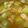 はらぺこ蒼虫's cooksnap of when they made 白菜のスープ.
