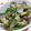 ホワイトフレンド's cooksnap of when they made 簡単☆あさりの酒蒸し.