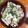 hirotanabe's cooksnap of when they made 塩麹☆あっさり豚のしょうが焼き.
